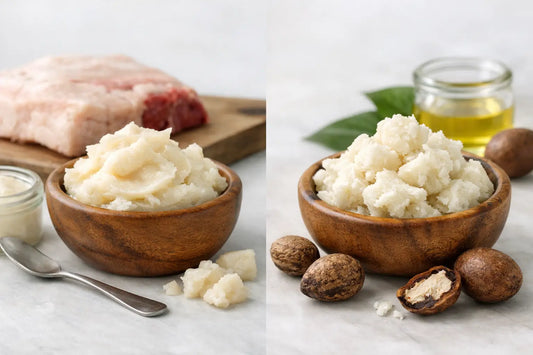 Beef Tallow vs Shea Butter for Skin
